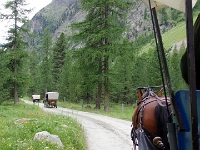 40739CrLe - Carriage ride to Pontresina and the Roseg Glacier, St. Moritz   Each New Day A Miracle  [  Understanding the Bible   |   Poetry   |   Story  ]- by Pete Rhebergen